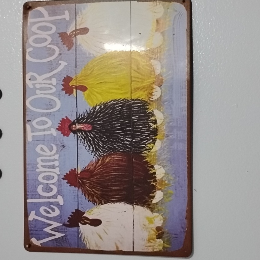 Metal chicken wall decor